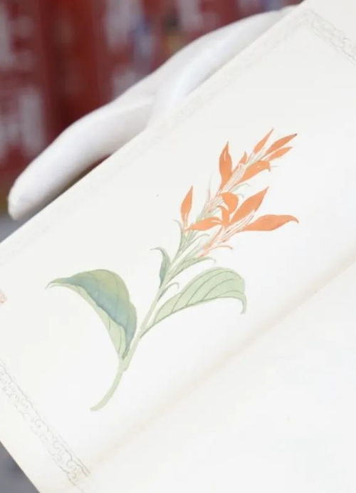 舊書新知傳習館 東城文藝 品牌空間 1