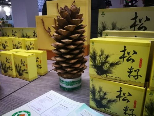 傳統(tǒng)手工藝品要 情懷味 更要 文藝味