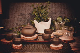 青春答卷2014——畢業(yè)設(shè)計(jì)《禪夢(mèng)》 原創(chuàng)品牌衍生產(chǎn)品圖書(shū)出租計(jì)劃